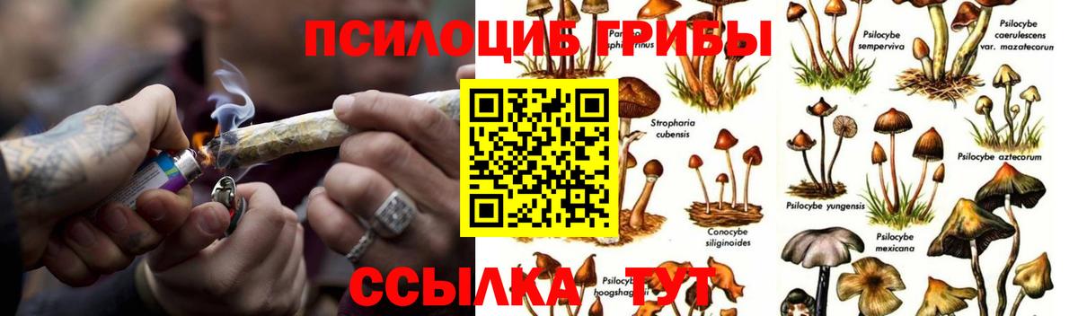 ГАШ  MDMA  МЕФ   Вход с VPN  COCAIN  Лениногорск  Канабис  ГАШ 